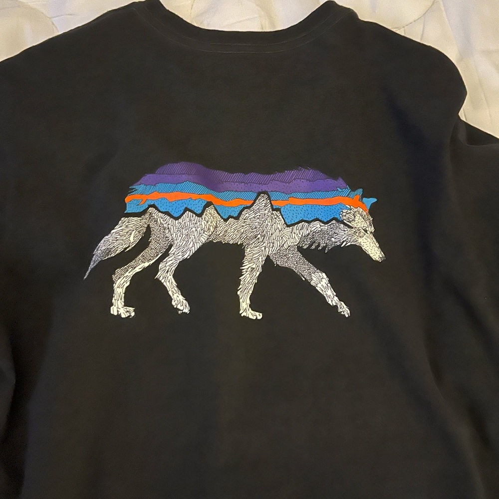 Nearly new Patagonia long sleeve tee in Small